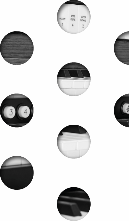 RDG240_Inspire_343_dots_427x728px2